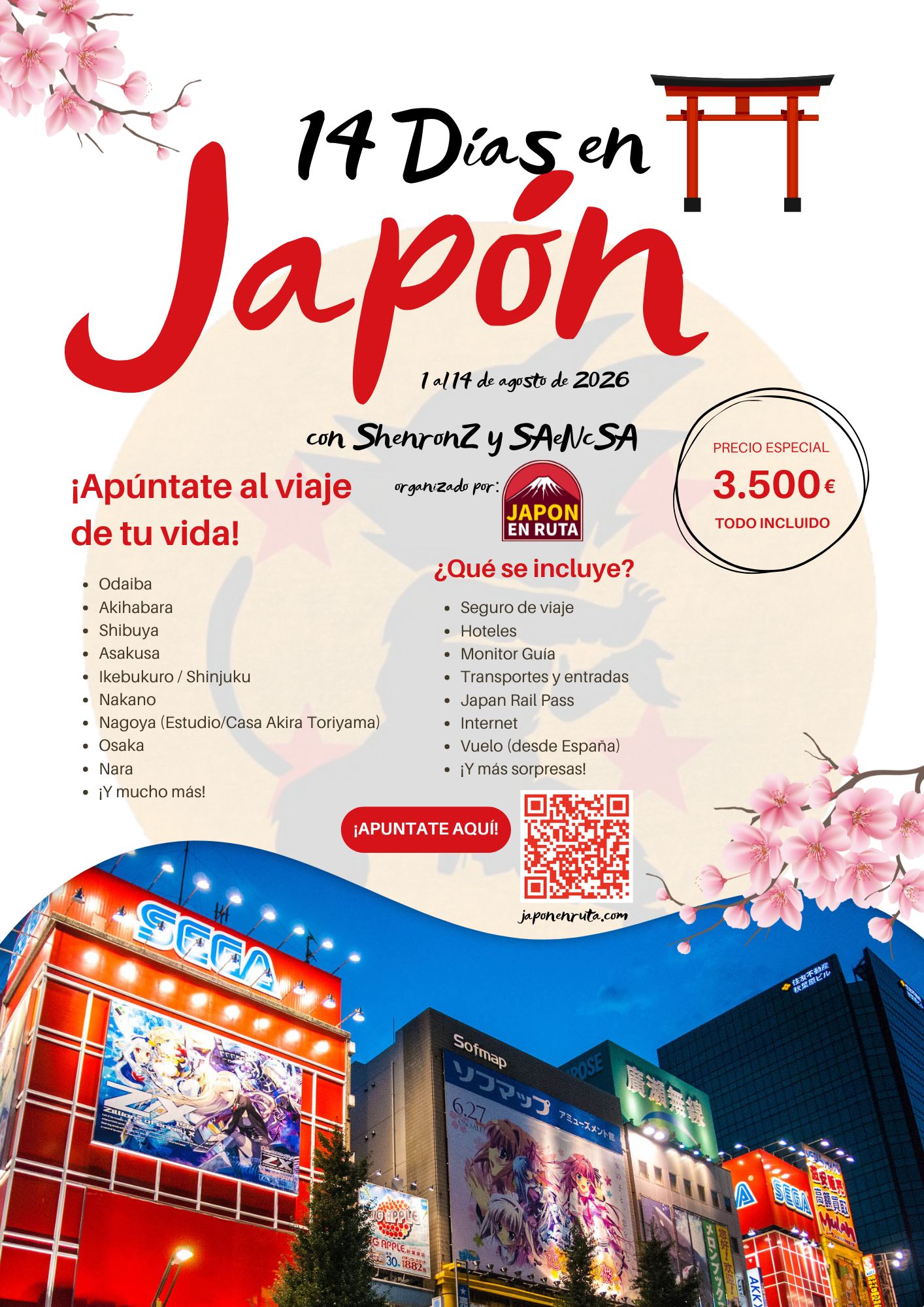 14 días en Japón 